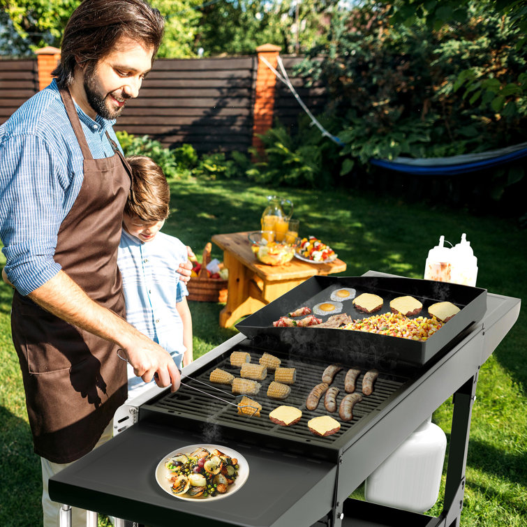 Bbq hotsell griddle combo